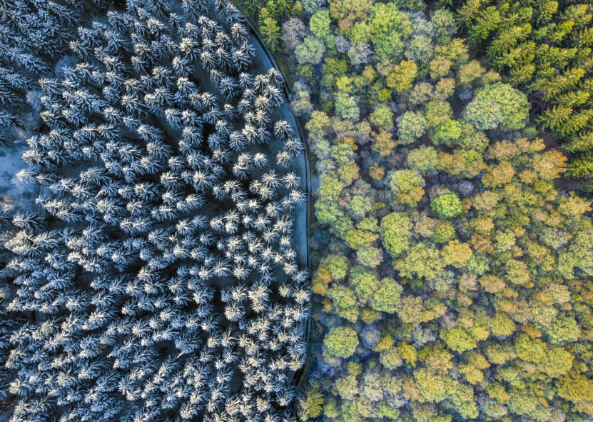 drones ciencia primera persona